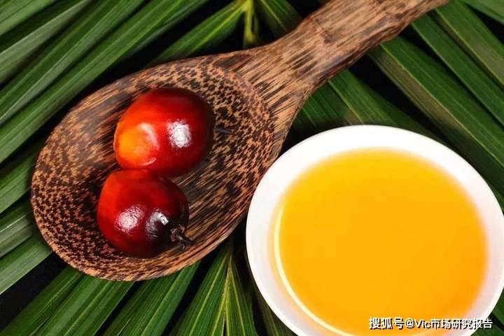 棕榈油酸：小油脂大能量的行业探秘